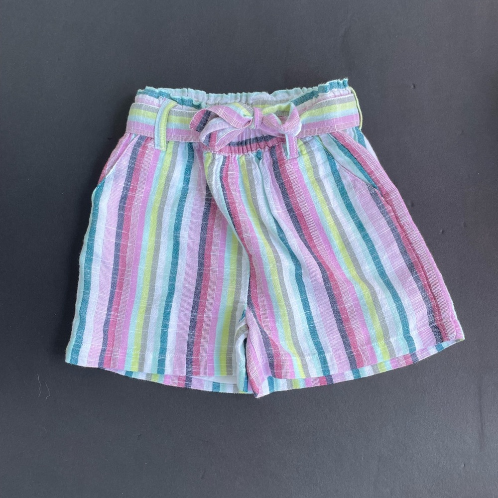 Striped Multicolor Shorts